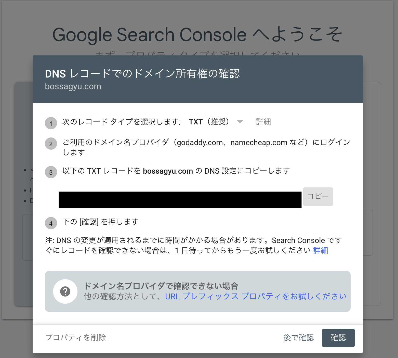 DNSの所有権確認画面