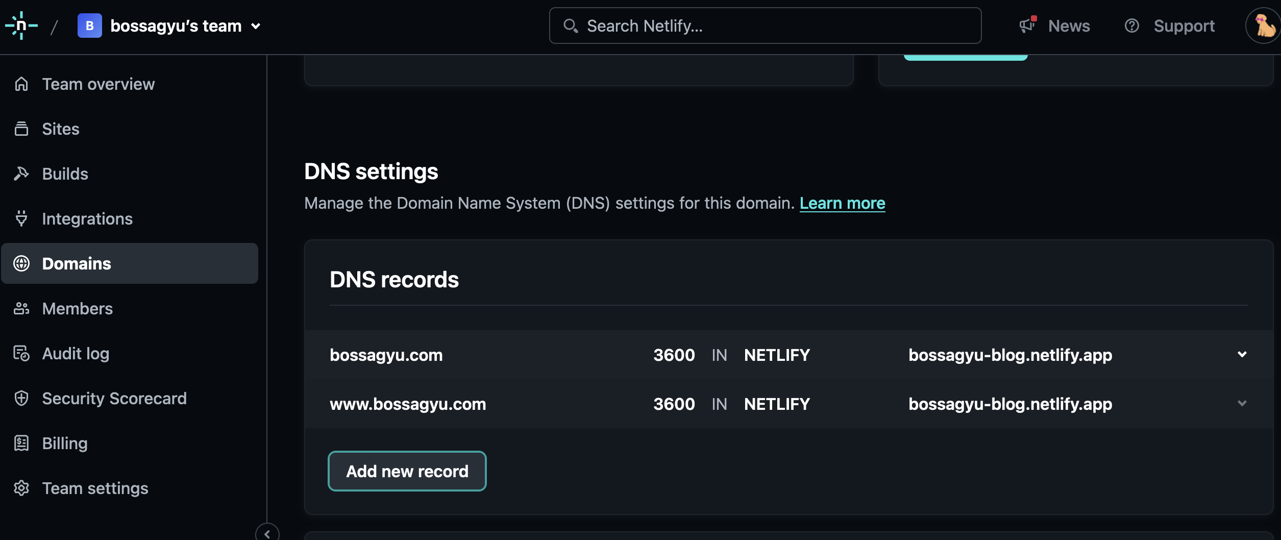 Netlify DNS Settings Screen