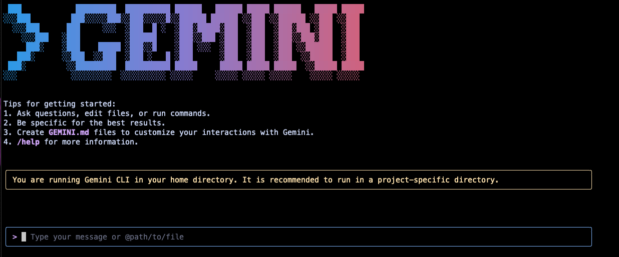 Gemini Terminal